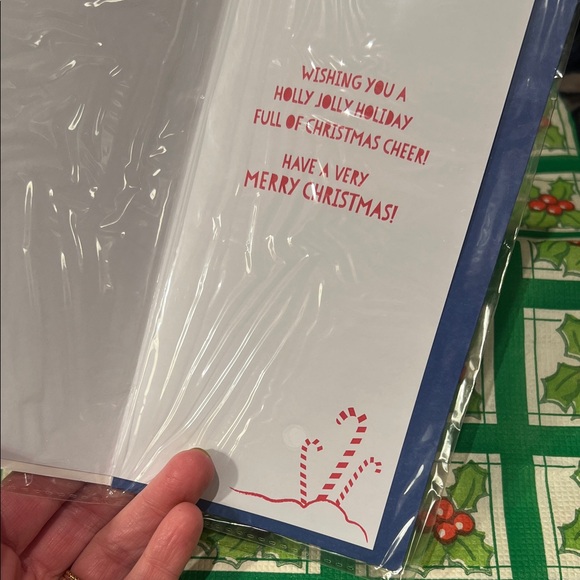 Festive Santa HO HO HO RAINBOW Holiday greeting card! Rainbow & Candy Canes - Picture 11 of 11